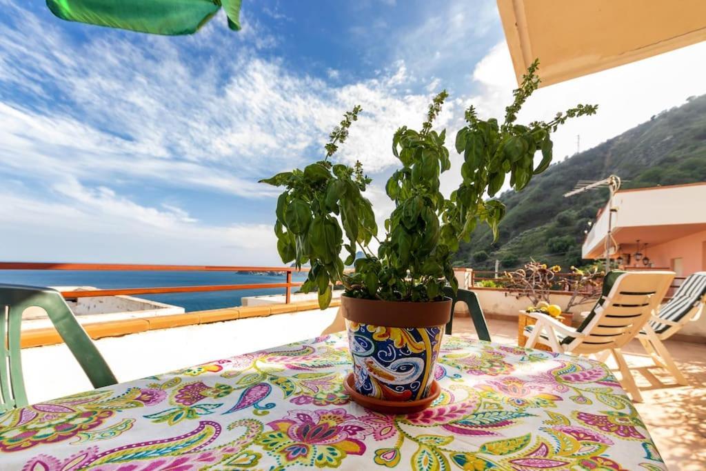 Sicilian Mood - Tropicana